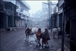 Early morning, cycle bells, damp, cows, calls to prayer, Far East Hotel